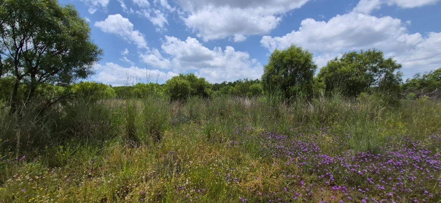 10 Bedroom Property for Sale in Swartruggens North West